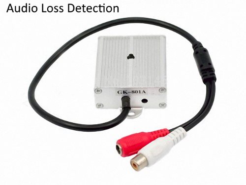 Audio Loss Detection