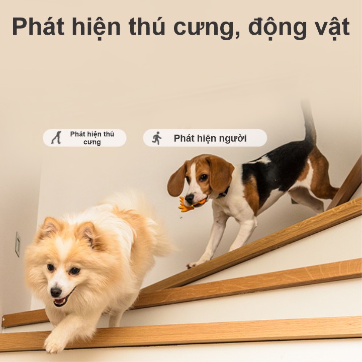 Camera Ezviz C6 hỗ trợ tính năng phát hiện vật nuôi và hình dáng người Camera Ezviz C6 hỗ trợ tính năng phát hiện vật nuôi và hình dáng người