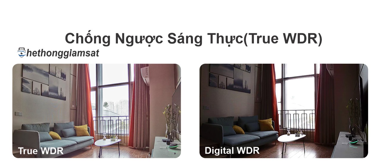 c6 chong nguoc sang c6 chong nguoc sang