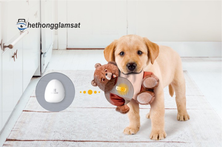 Ezviz T6 bạn cũng có thể được đặt trên các đối tượng không cố định như bình hoa, tranh Ezviz T6 bạn cũng có thể được đặt trên các đối tượng không cố định như bình hoa, tranh