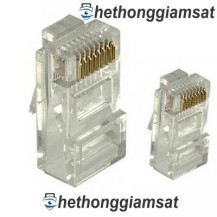 Đầu bấm Mạng, Jack Mạng RJ45 Cat5